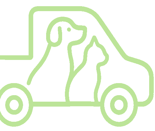 Pet Transport